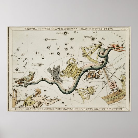 Vintage Konstellation Poster (Vorne)