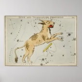 Vintage Konstellation Poster (Vorne)