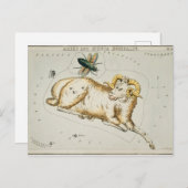 Vintage Konstellation Postkarte (Vorne/Hinten)