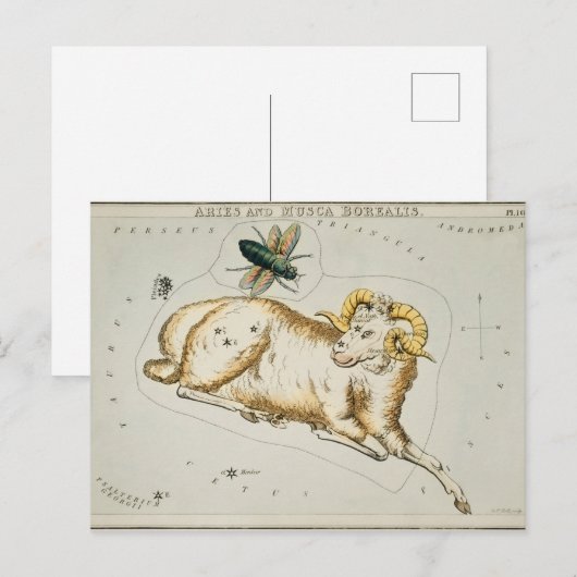 Vintage Konstellation Postkarte (Vorne/Hinten)