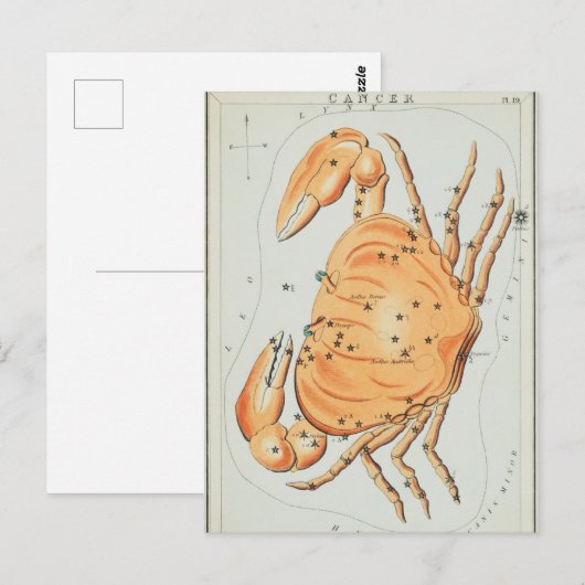 Vintage Konstellation Postkarte (Vorne/Hinten)