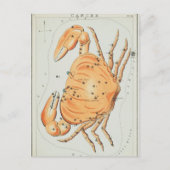 Vintage Konstellation Postkarte (Vorderseite)