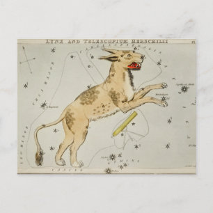 Vintage Konstellation Postkarte