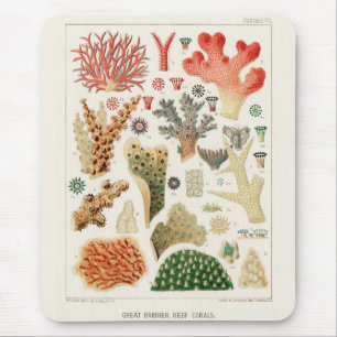 Vintage-Korallen des Great Barrier Reef in Austral Mousepad