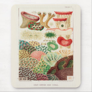 Vintage-Korallen des Great Barrier Reef in Austral Mousepad
