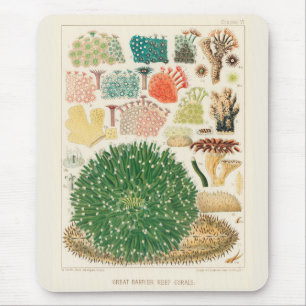 Vintage-Korallen des Great Barrier Reef in Austral Mousepad