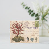 Vintage Korallen und Muscheln Postkarte (Stehend Vorderseite)