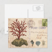 Vintage Korallen und Muscheln Postkarte (Vorne/Hinten)