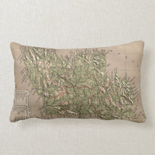 Vintage körperliche Karte von Irland (1880) Lendenkissen