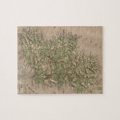 Vintage körperliche Karte von Irland (1880) Puzzle (Horizontal)