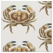 Vintage Krabbe Stoff (Nahaufnahme)