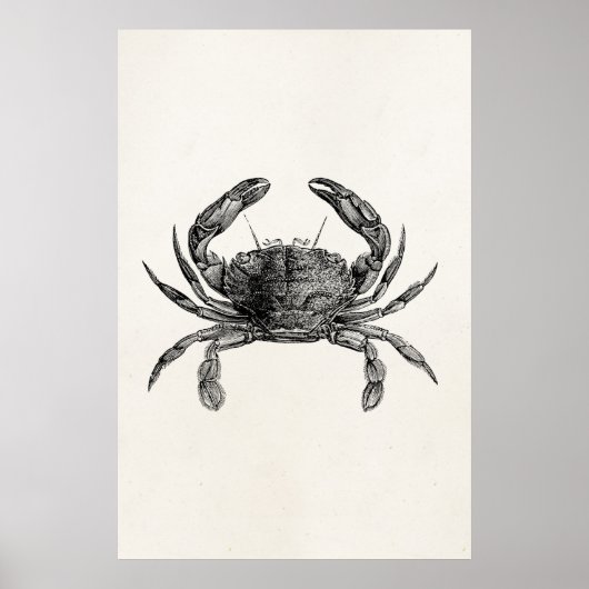 Vintage Krabbenvorlage Personalisiert Poster (Vorne)