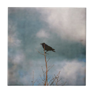 Vintage-Krähe auf einem Baum sitzend Fliese
