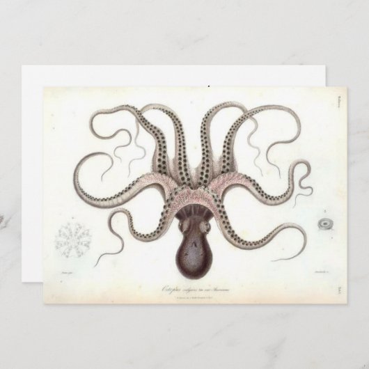 Vintage Krake laden ein Einladung (Vorne/Hinten)