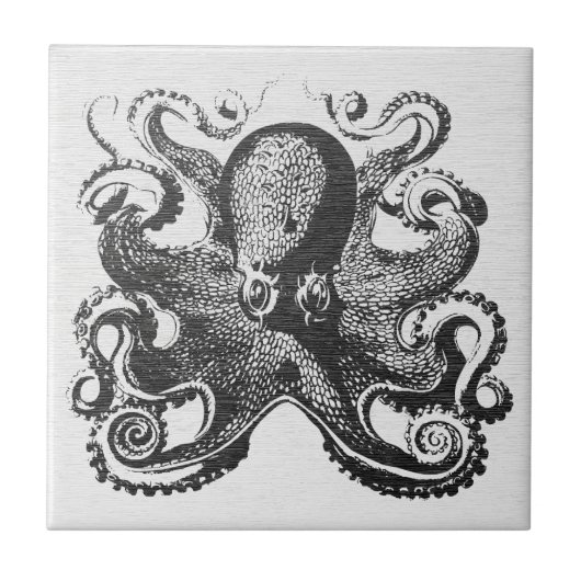 Vintage Kraken Octopus - Maritime Kunst Fliese (Vorderseite)