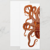 Vintage Krakeneinladung Einladung (Vorne/Hinten)