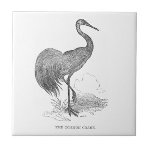 Vintage Kranich-Vogel Feder und Tinte Zeichnung Fliese