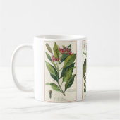 Vintage Kräuter Gewürze, Gewürze, Schwarzer Paprik Kaffeetasse (Links)