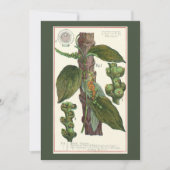 Vintage Kräuter Gewürze, Pflanze Black Pepper Einladung (Vorderseite)