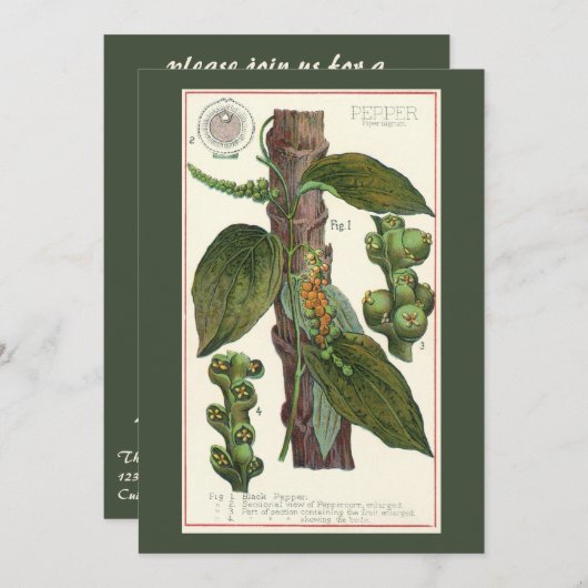 Vintage Kräuter Gewürze, Pflanze Black Pepper Einladung (Vorne/Hinten)