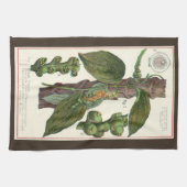 Vintage Kräuter Gewürze, Pflanze Black Pepper Geschirrtuch (Horizontal)