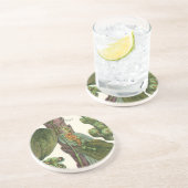 Vintage Kräuter Gewürze, Pflanze Black Pepper Getränkeuntersetzer (Seite)