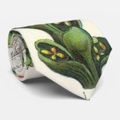 Vintage Kräuter Gewürze, Pflanze Black Pepper Krawatte (Gerollt)