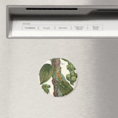 Vintage Kräuter Gewürze, Pflanze Black Pepper Magnet (In Situ (Geschirrspüler))