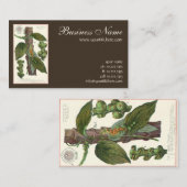Vintage Kräuter Gewürze, Pflanze Black Pepper Visitenkarte (Vorne/Hinten)