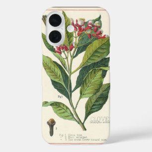 Vintage Kräuter Gewürze, Pflanze der Gewürze iPhone 16 Hülle