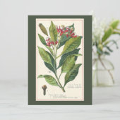 Vintage Kräuter Gewürze, Pflanze der Gewürze Einladung (Stehend Vorderseite)