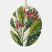 Vintage Kräuter Gewürze, Pflanze der Gewürze Keramikornament (Rechts)