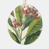 Vintage Kräuter Gewürze, Pflanze der Gewürze Keramikornament (Links)