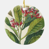 Vintage Kräuter Gewürze, Pflanze der Gewürze Keramikornament (Hinten)