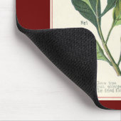 Vintage Kräuter Gewürze, Pflanze der Gewürze Mousepad (Ecke)