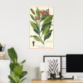 Vintage Kräuter Gewürze, Pflanze der Gewürze Poster (Heimbüro)