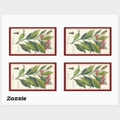 Vintage Kräuter Gewürze, Pflanze der Gewürze Rechteckiger Aufkleber (Blatt)