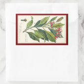 Vintage Kräuter Gewürze, Pflanze der Gewürze Rechteckiger Aufkleber (Tasche)