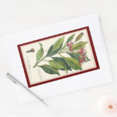 Vintage Kräuter Gewürze, Pflanze der Gewürze Rechteckiger Aufkleber (Umschlag)