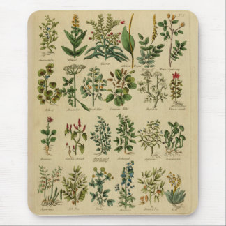 Vintage-Kräuter-Mauspad Mousepad
