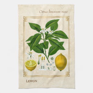 Vintage Kräuterpflanze Zitrone Frucht Botanische K Geschirrtuch