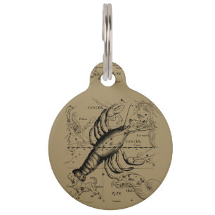 Vintage Krebs-Konstellations-Karte Hevelius 1690 Tiermarke