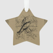 Vintage Krebskonstellation Karte Hevelius 1690 Ornament (Vorderseite)