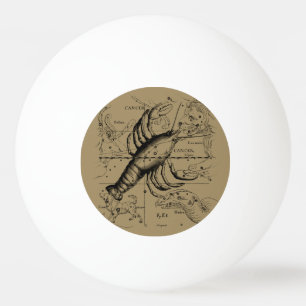 Vintage Krebskonstellation Karte Hevelius 1690 Tischtennisball