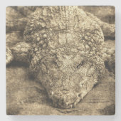 Vintage Krokodil Steinuntersetzer (Vorderseite)