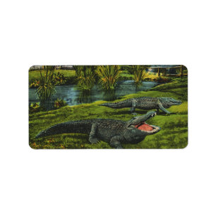 Vintage Krokodile, Meereslebewesen Reptilien Adressaufkleber