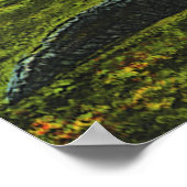 Vintage Krokodile, Meereslebewesen Reptilien Poster (Ecke)