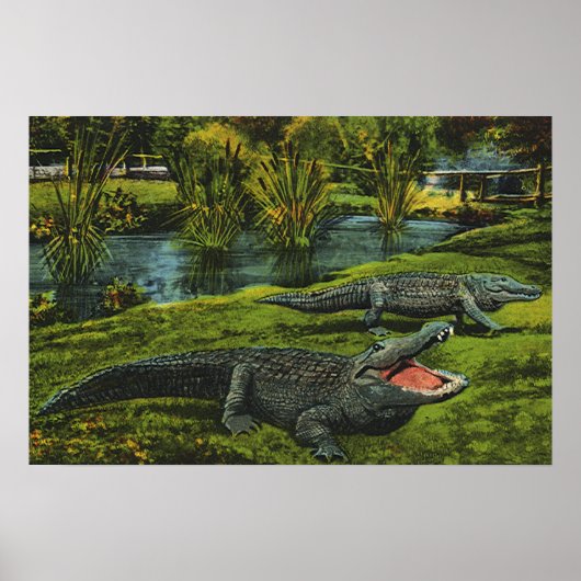 Vintage Krokodile, Meereslebewesen Reptilien Poster (Vorne)