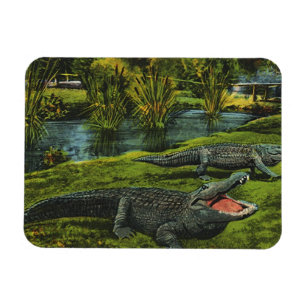 Vintage Krokodile, Meereslebewesen Reptilien Tiere Magnet