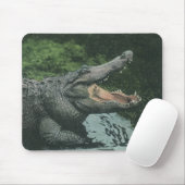 Vintage Krokodile Reptilien, Meerestierleben Mousepad (Mit Mouse)